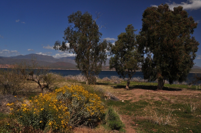 Cottonwood/Frazier Recreation Site